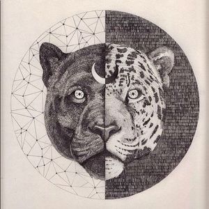 Meet your Posher, Peter